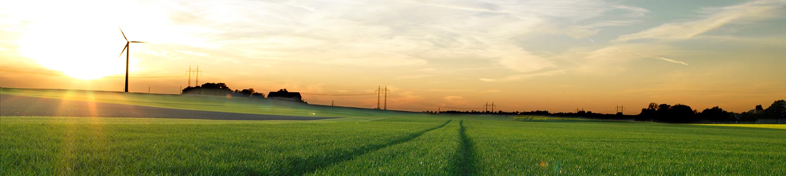 windmills over a farm field