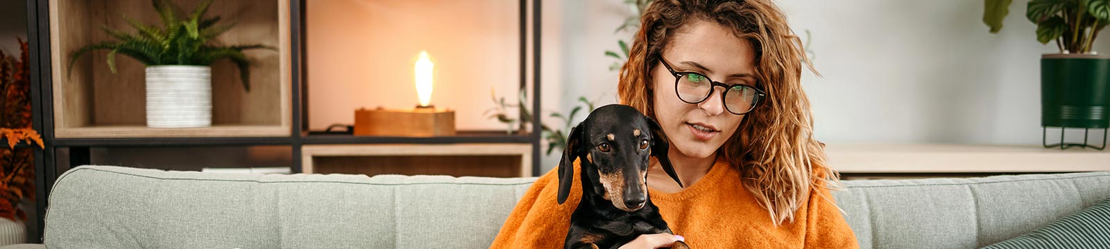 woman and dog using laptop at home