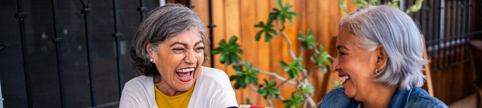 mature ladies talking